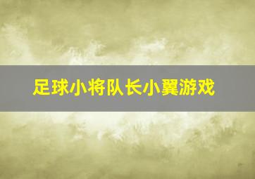 足球小将队长小翼游戏