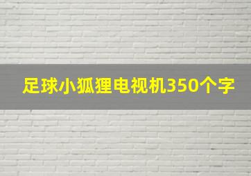 足球小狐狸电视机350个字