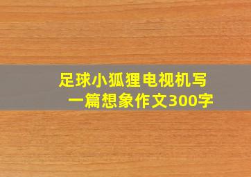 足球小狐狸电视机写一篇想象作文300字