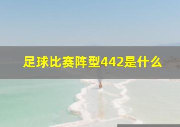 足球比赛阵型442是什么