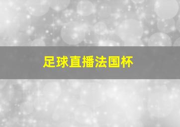 足球直播法国杯