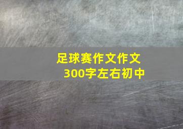 足球赛作文作文300字左右初中