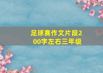 足球赛作文片段200字左右三年级