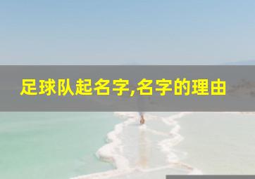 足球队起名字,名字的理由