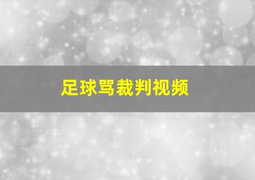 足球骂裁判视频