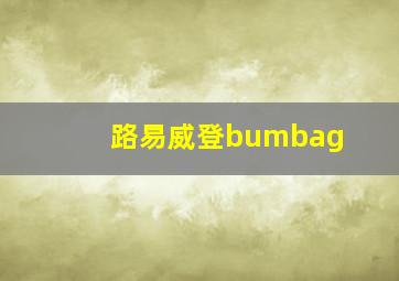 路易威登bumbag