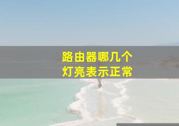 路由器哪几个灯亮表示正常