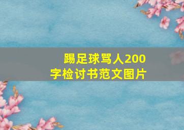 踢足球骂人200字检讨书范文图片