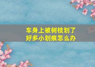 车身上被树枝划了好多小划痕怎么办