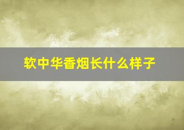 软中华香烟长什么样子