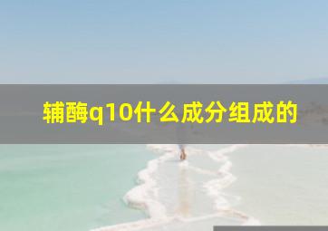 辅酶q10什么成分组成的