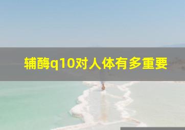 辅酶q10对人体有多重要