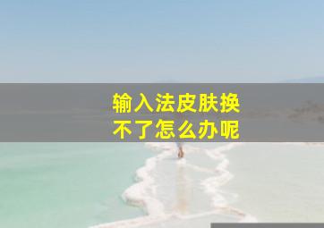 输入法皮肤换不了怎么办呢