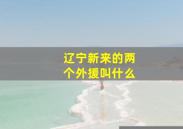 辽宁新来的两个外援叫什么