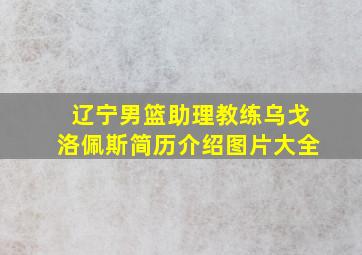 辽宁男篮助理教练乌戈洛佩斯简历介绍图片大全