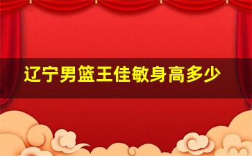 辽宁男篮王佳敏身高多少