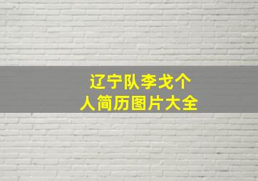 辽宁队李戈个人简历图片大全