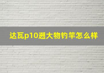 达瓦p10遡大物钓竿怎么样