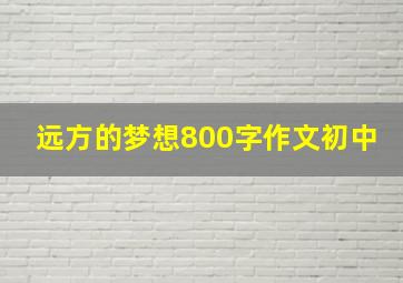 远方的梦想800字作文初中