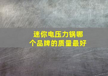 迷你电压力锅哪个品牌的质量最好