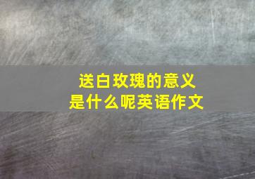 送白玫瑰的意义是什么呢英语作文