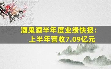 酒鬼酒半年度业绩快报:上半年营收7.09亿元