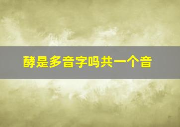 酵是多音字吗共一个音