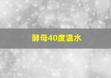 酵母40度温水