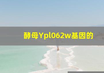 酵母Ypl062w基因的