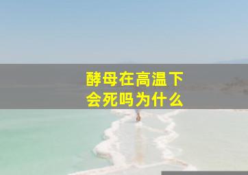 酵母在高温下会死吗为什么