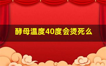 酵母温度40度会烫死么