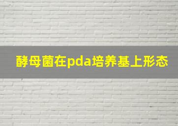 酵母菌在pda培养基上形态