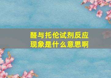 醛与托伦试剂反应现象是什么意思啊