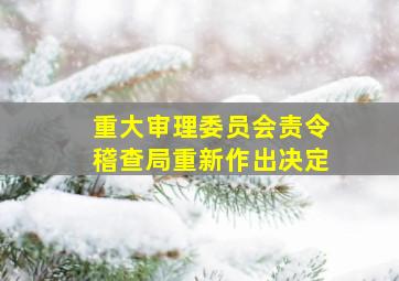 重大审理委员会责令稽查局重新作出决定