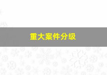 重大案件分级