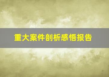 重大案件剖析感悟报告