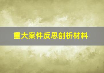 重大案件反思剖析材料