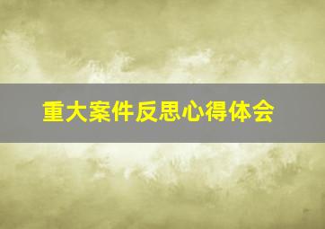 重大案件反思心得体会