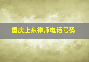 重庆上东律师电话号码