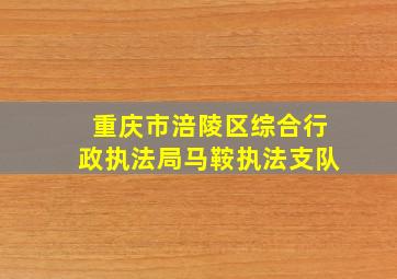 重庆市涪陵区综合行政执法局马鞍执法支队