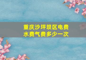 重庆沙坪坝区电费水费气费多少一次