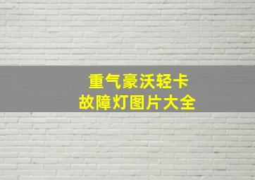 重气豪沃轻卡故障灯图片大全