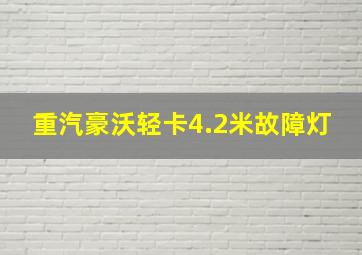 重汽豪沃轻卡4.2米故障灯