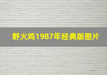 野火鸡1987年经典版图片