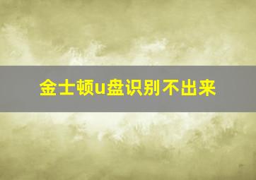 金士顿u盘识别不出来