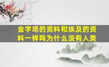 金字塔的资料和埃及的资料一样吗为什么没有人类