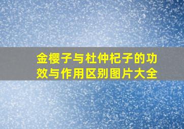 金樱子与杜仲杞子的功效与作用区别图片大全