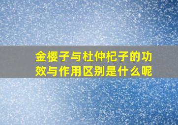 金樱子与杜仲杞子的功效与作用区别是什么呢