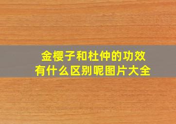 金樱子和杜仲的功效有什么区别呢图片大全