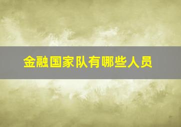 金融国家队有哪些人员